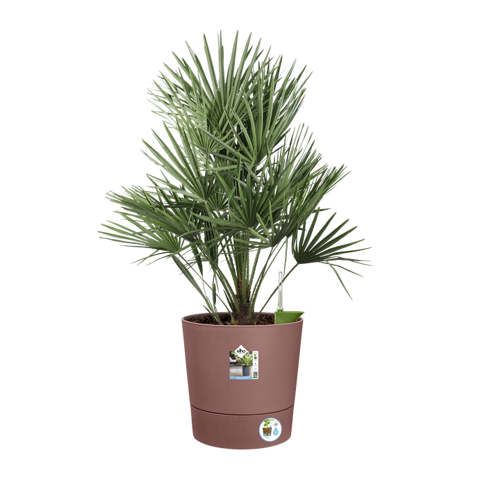 greensense aqua care rund 43cm lehmbraun